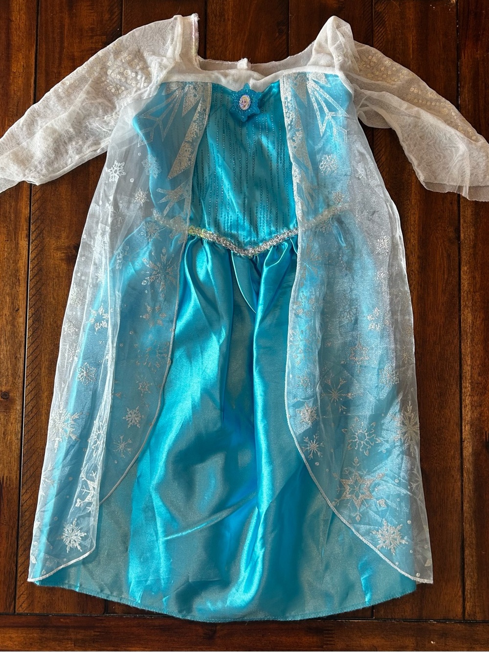 Frozen Princess Gown Costume